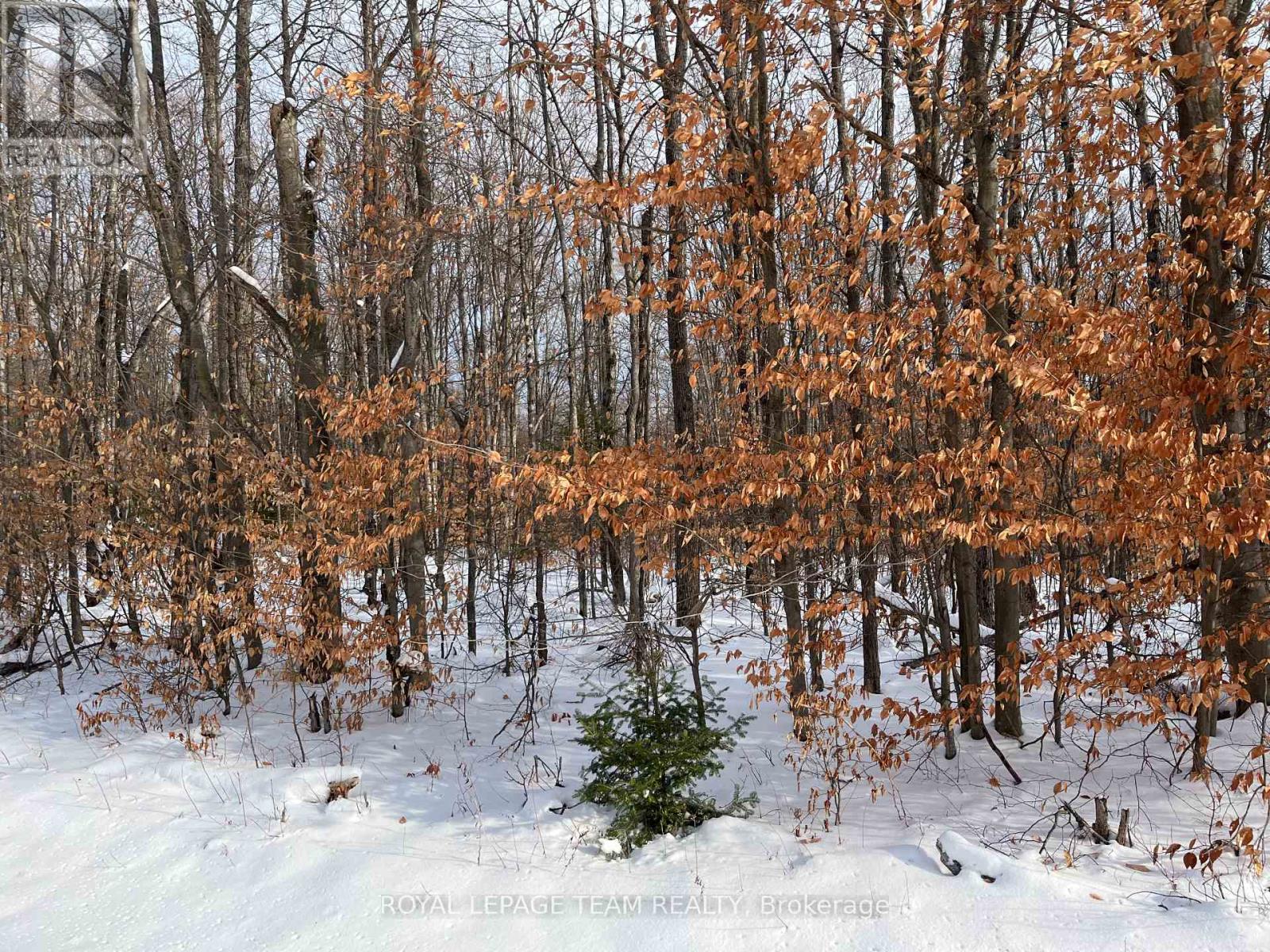 00 Siberia Road, Madawaska Valley, Ontario  K0J 1B0 - Photo 1 - X12643432