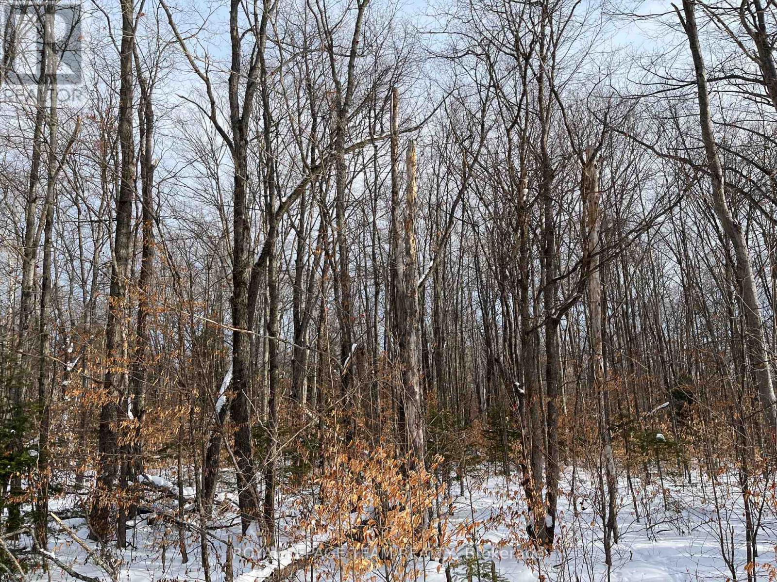 00 Siberia Road, Madawaska Valley, Ontario  K0J 1B0 - Photo 3 - X12643432