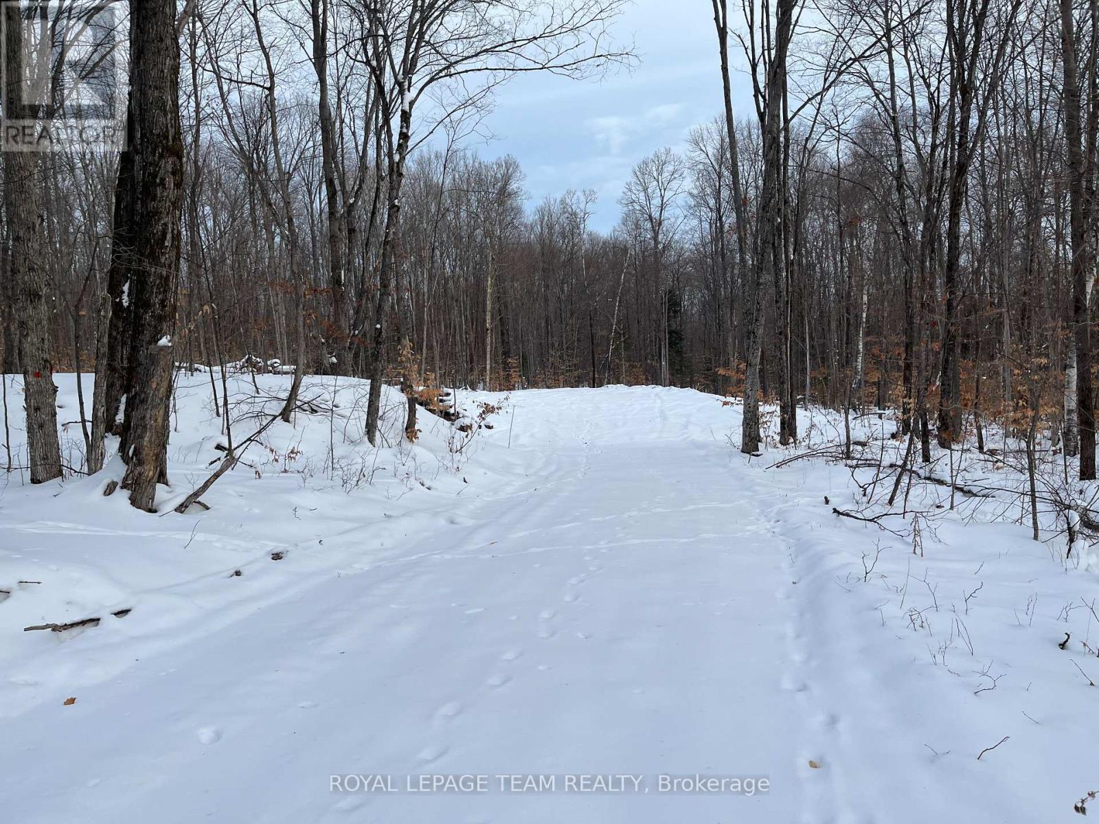 01 Siberia Road, Madawaska Valley, Ontario  K0J 1B0 - Photo 2 - X12643436