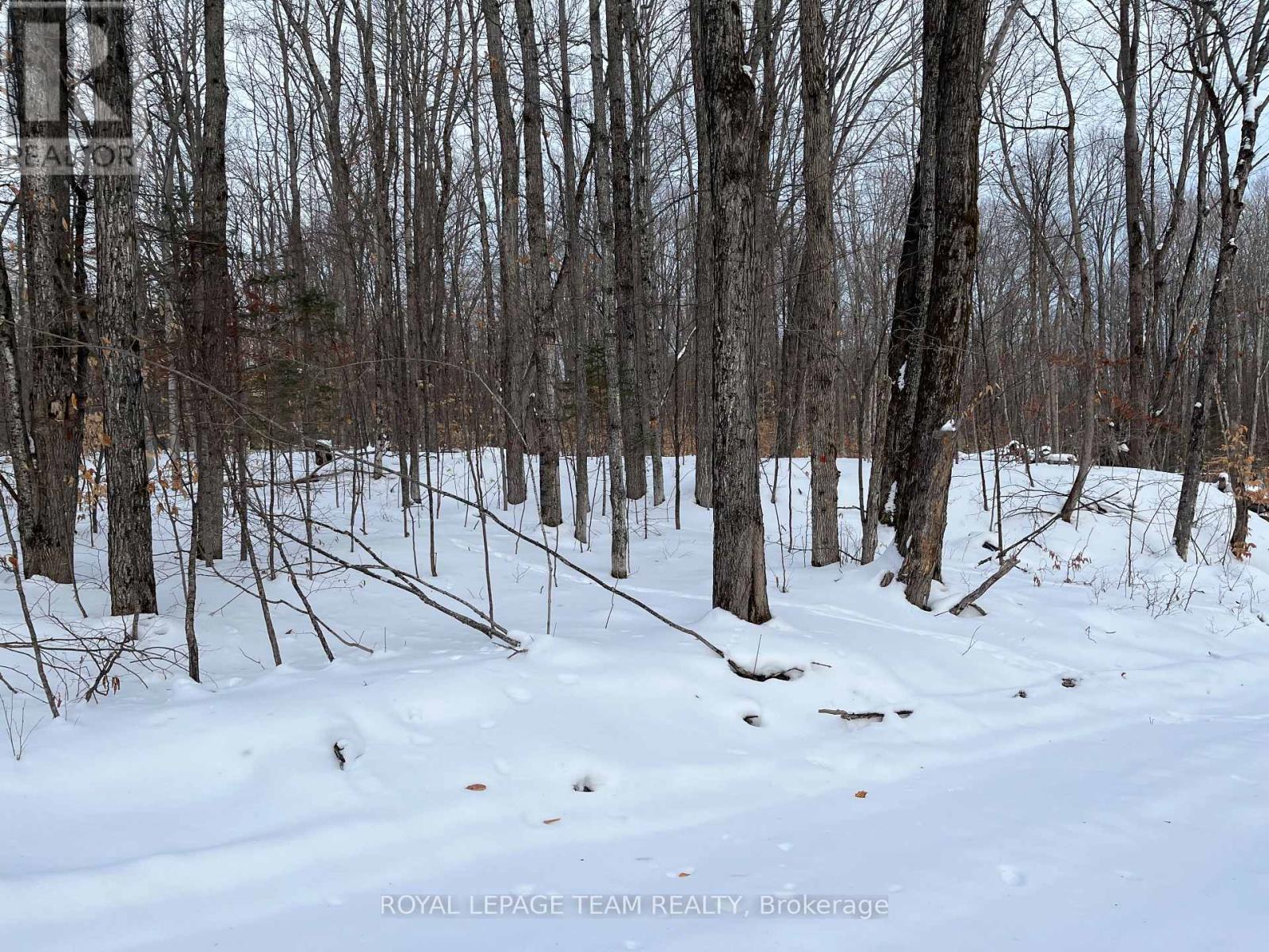 01 Siberia Road, Madawaska Valley, Ontario  K0J 1B0 - Photo 4 - X12643436