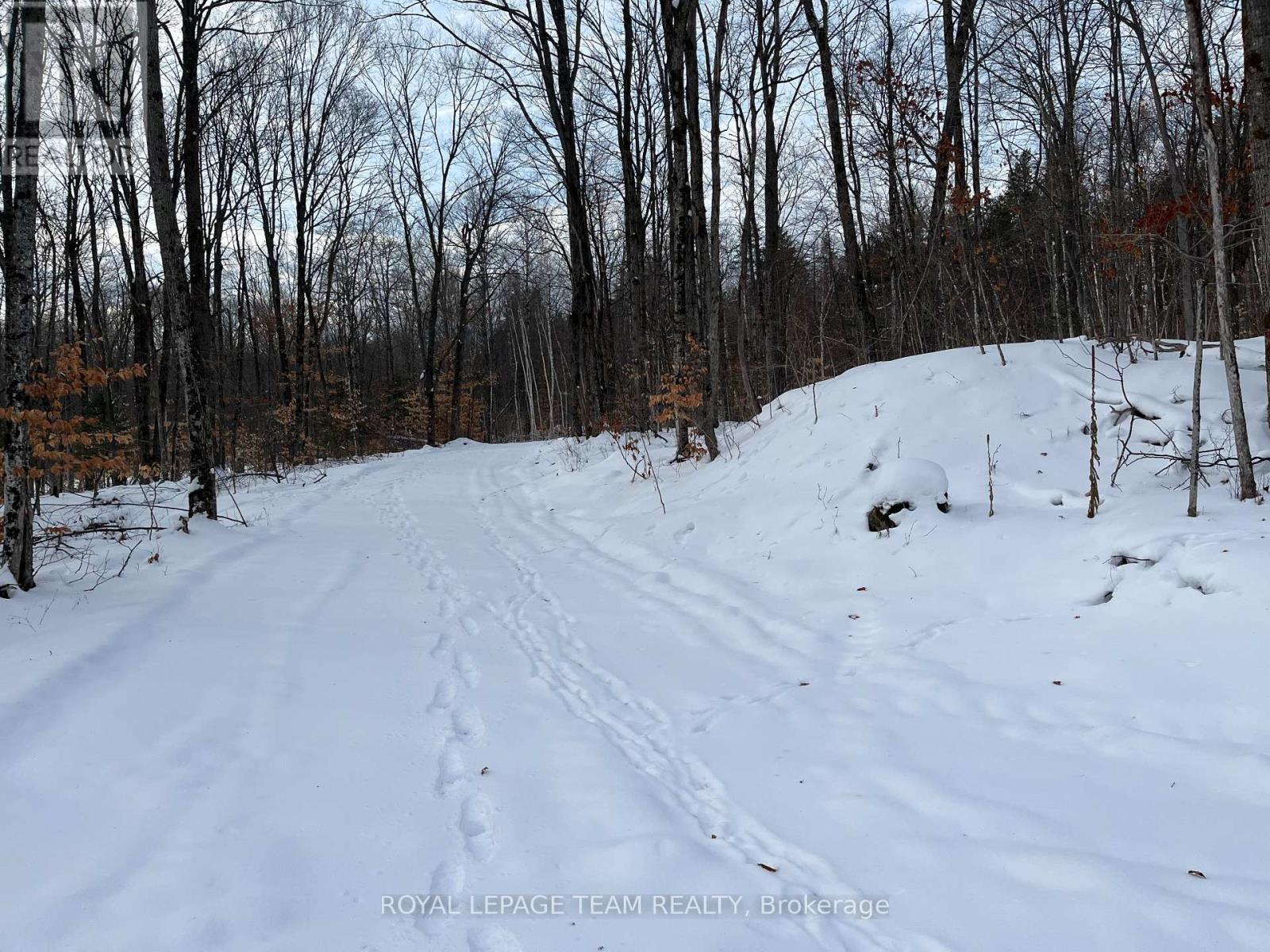 01 Siberia Road, Madawaska Valley, Ontario  K0J 1B0 - Photo 5 - X12643436