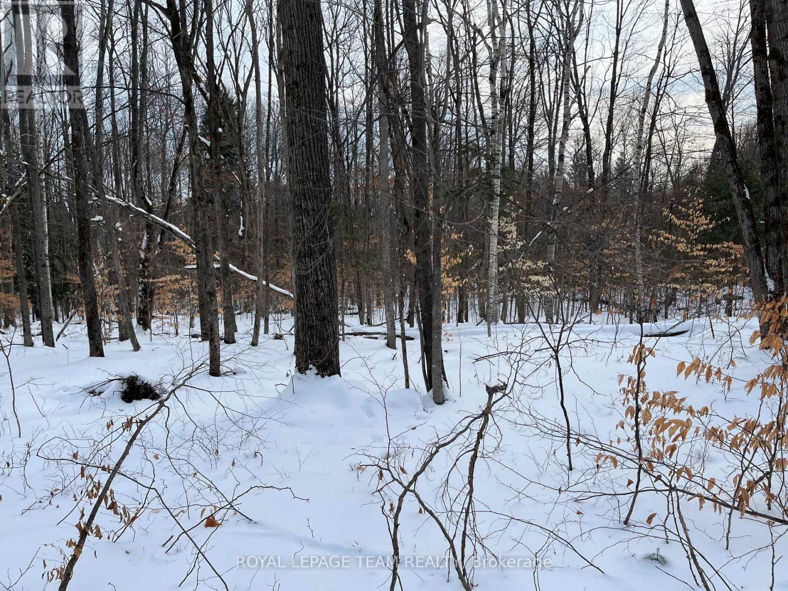 01 Siberia Road, Madawaska Valley, Ontario  K0J 1B0 - Photo 6 - X12643436