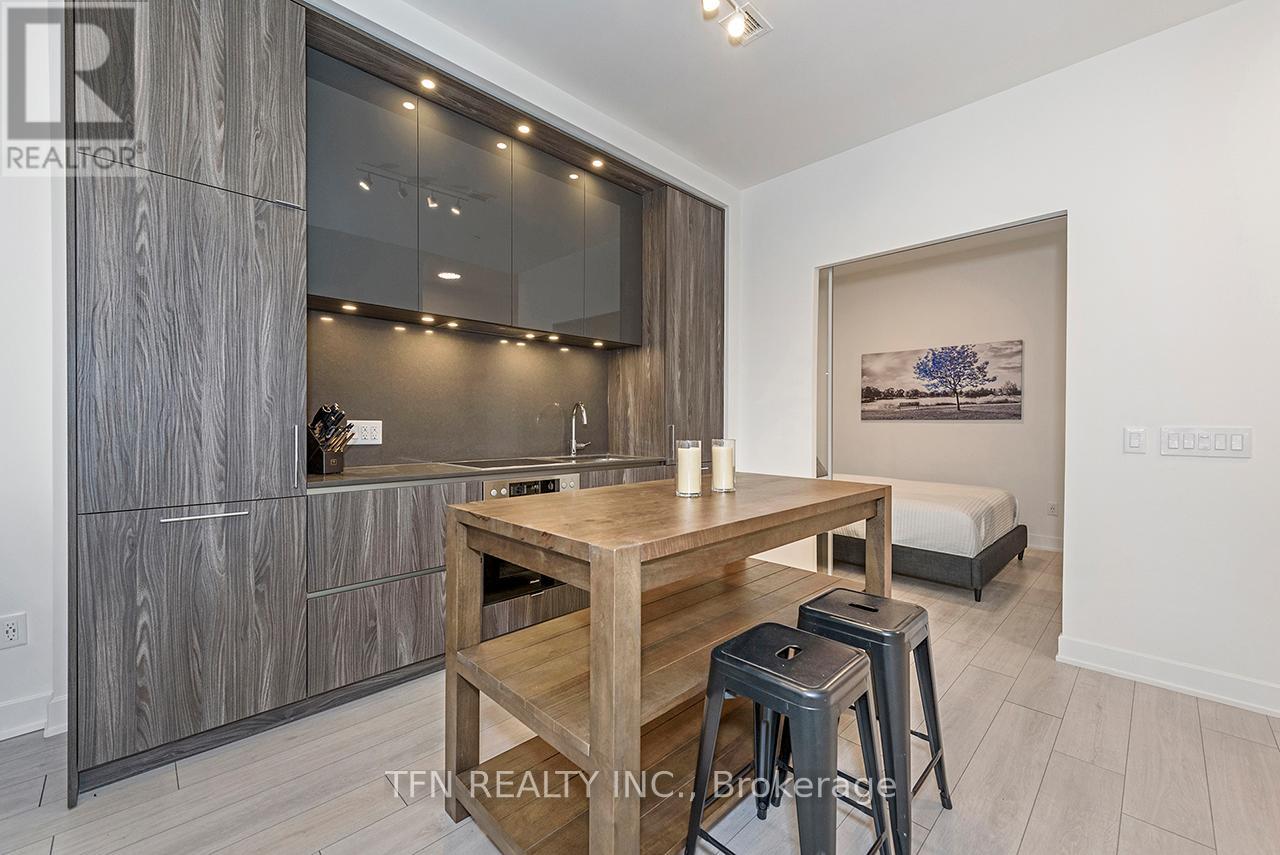 1003 - 15 Mercer Street, Toronto, Ontario  M5V 0T8 - Photo 2 - C12643464