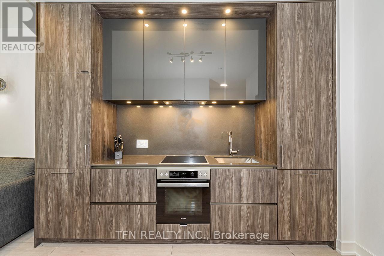 1003 - 15 Mercer Street, Toronto, Ontario  M5V 0T8 - Photo 4 - C12643464