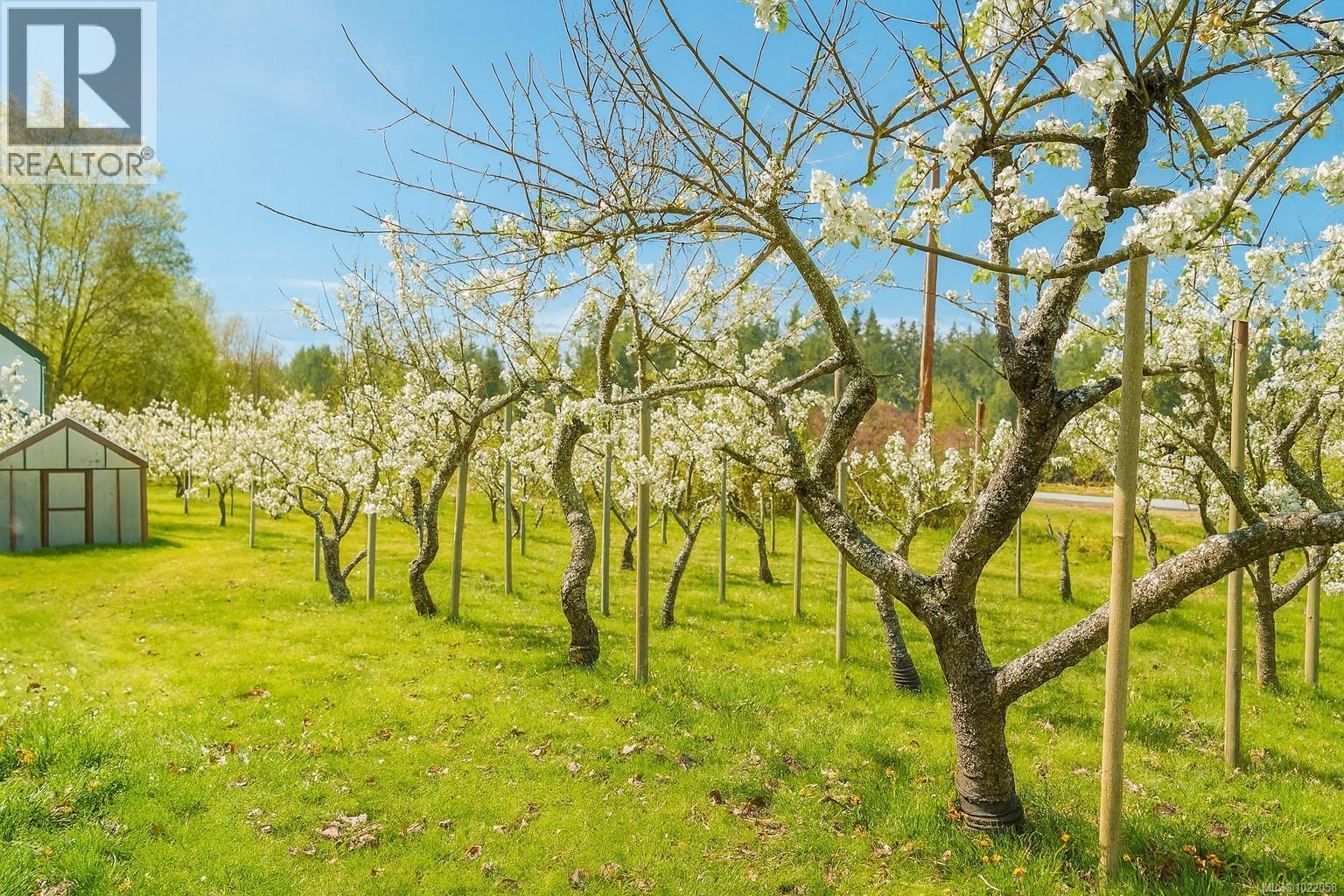 7521 Porier Rd, Sooke, British Columbia  V9Z 0J6 - Photo 14 - 1022058