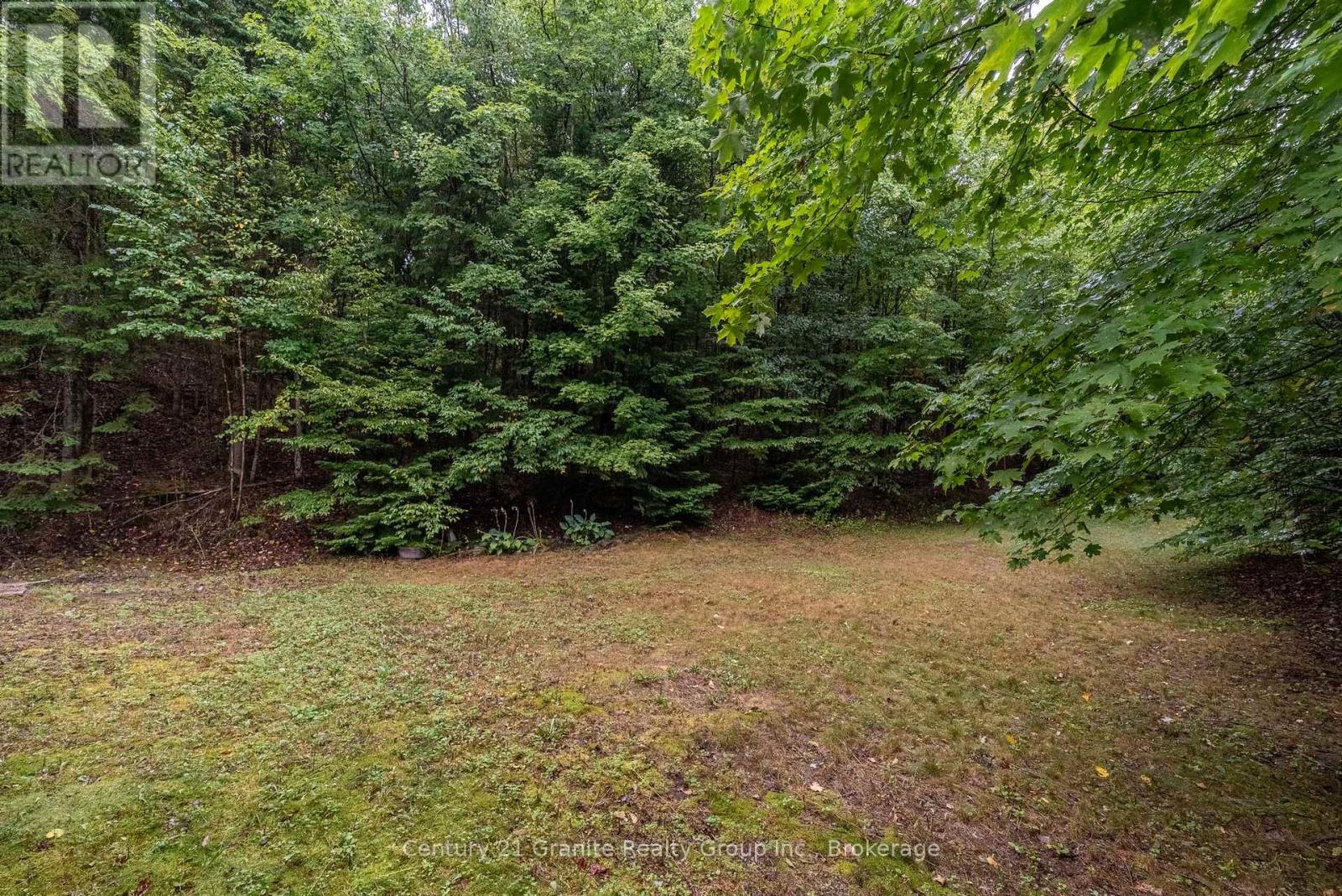 19221 Highway 118, Highlands East, Ontario  K0M 1S0 - Photo 38 - X12643592