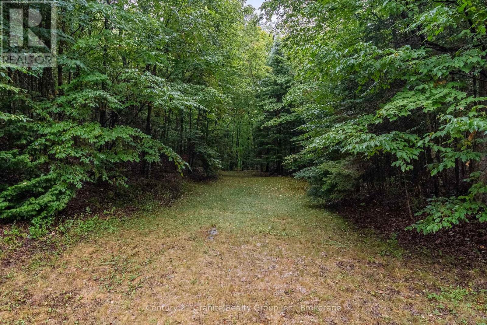 19221 Highway 118, Highlands East, Ontario  K0M 1S0 - Photo 41 - X12643592