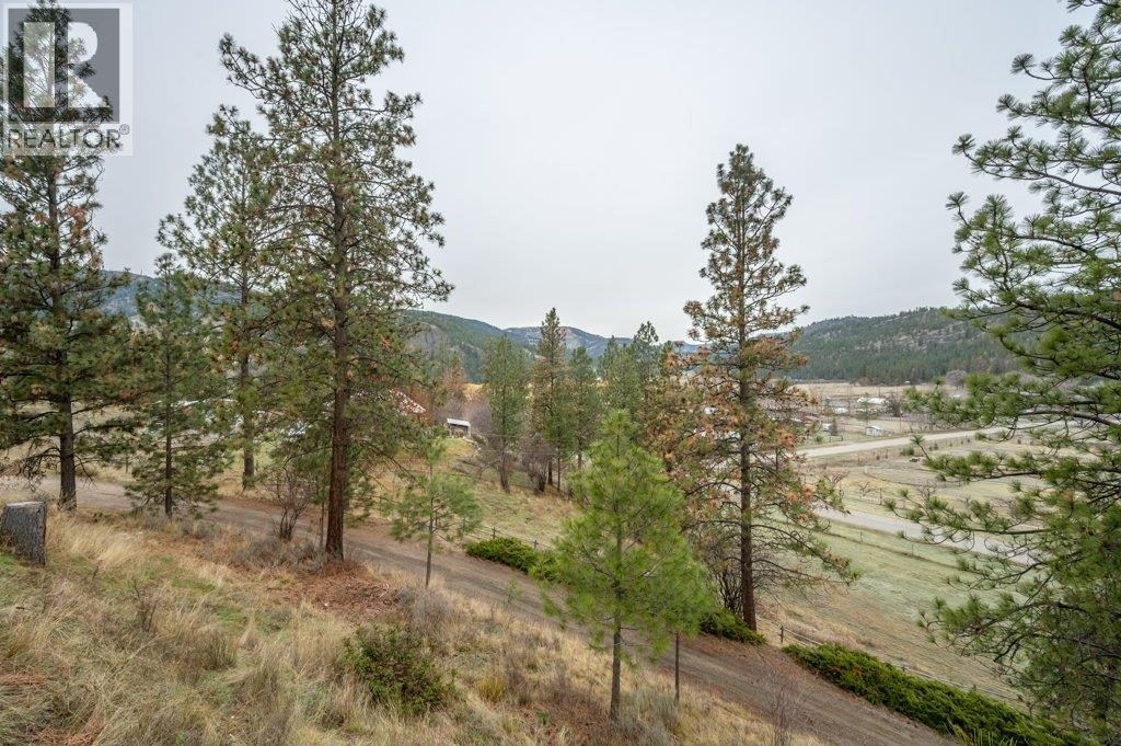 459 Johnson Crescent, Oliver, British Columbia  V0H 1T5 - Photo 40 - 10370703