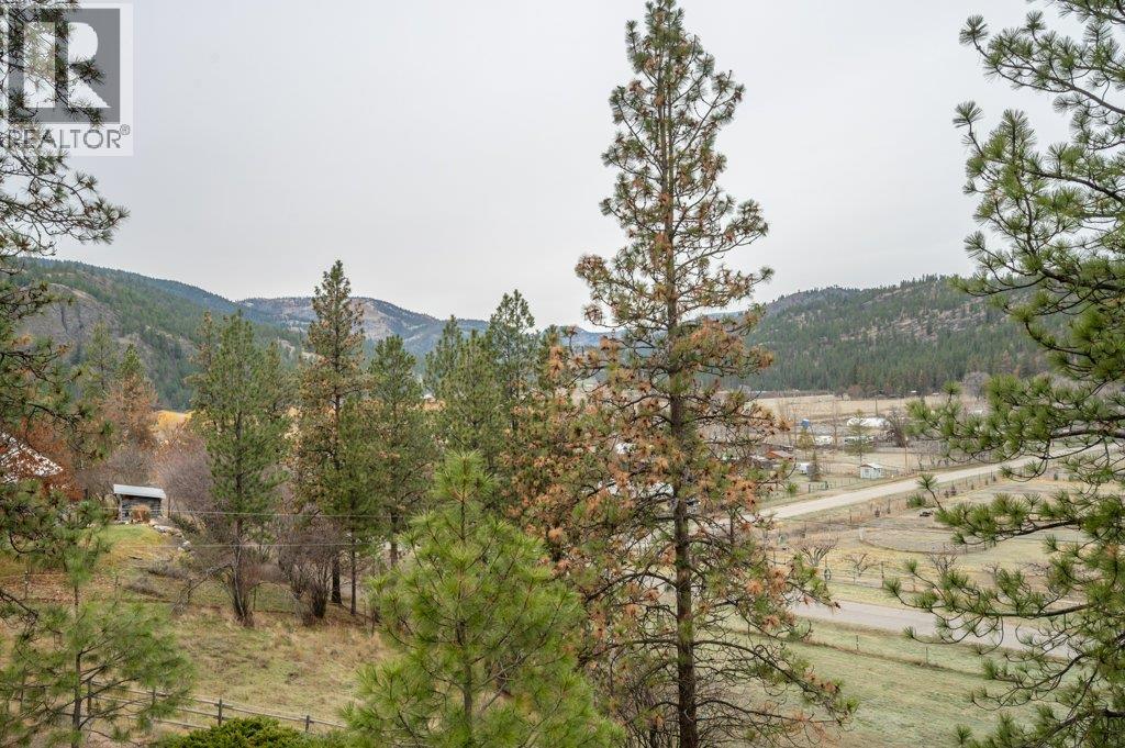 459 Johnson Crescent, Oliver, British Columbia  V0H 1T5 - Photo 41 - 10370703