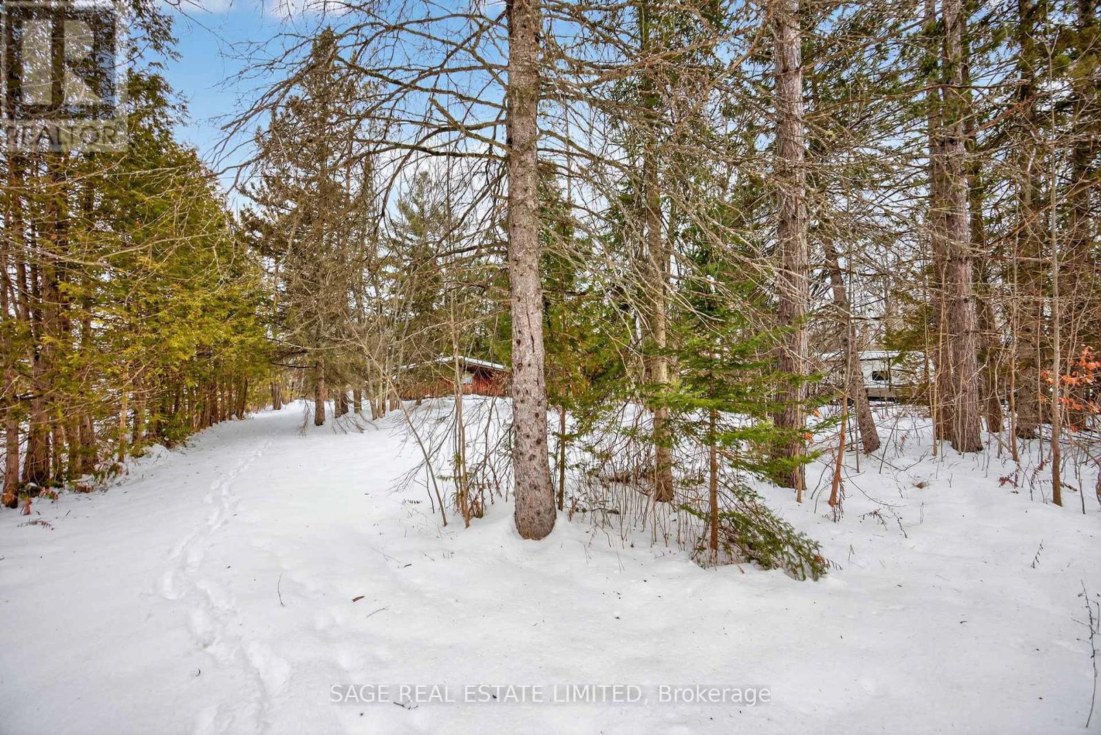 7856 Birch Drive, Ramara, Ontario  L0K 2B0 - Photo 2 - S12643612