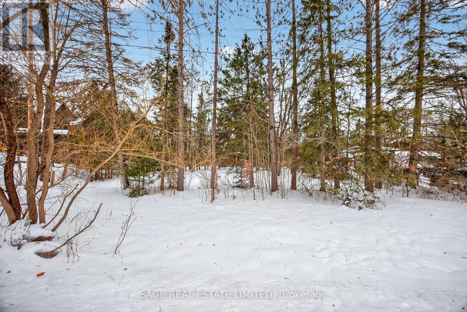 7856 Birch Drive, Ramara, Ontario  L0K 2B0 - Photo 24 - S12643612