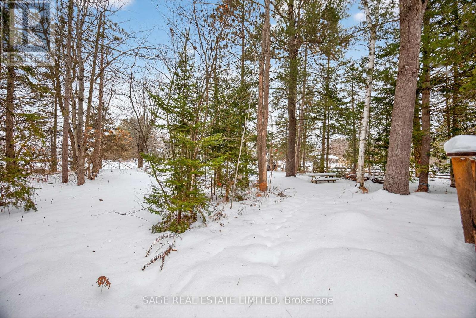 7856 Birch Drive, Ramara, Ontario  L0K 2B0 - Photo 8 - S12643612