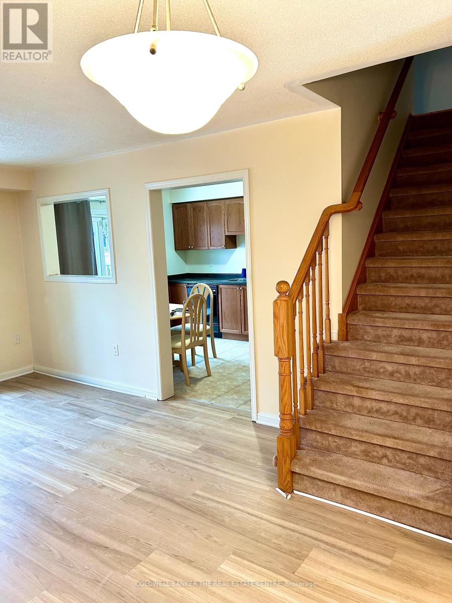 20 Steele Street, New Tecumseth, Ontario  L9R 0E6 - Photo 5 - N12643186