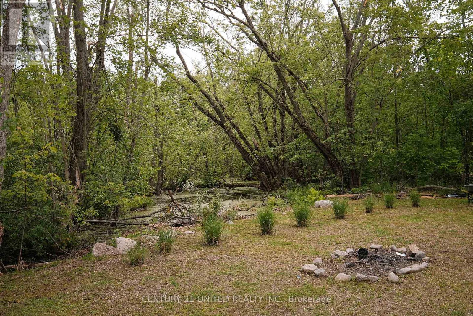 4 Rollies Bay Road E, Curve Lake First Nation 35, Ontario  K0L 1R0 - Photo 28 - X12643700