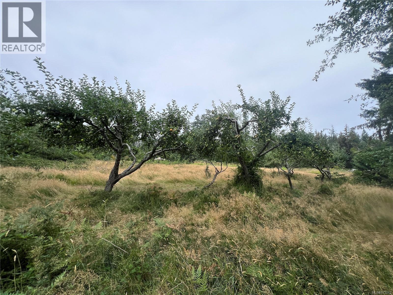 Sl4 129 Joyce Rd, Quadra Island, British Columbia  V0P 1N0 - Photo 19 - 973012