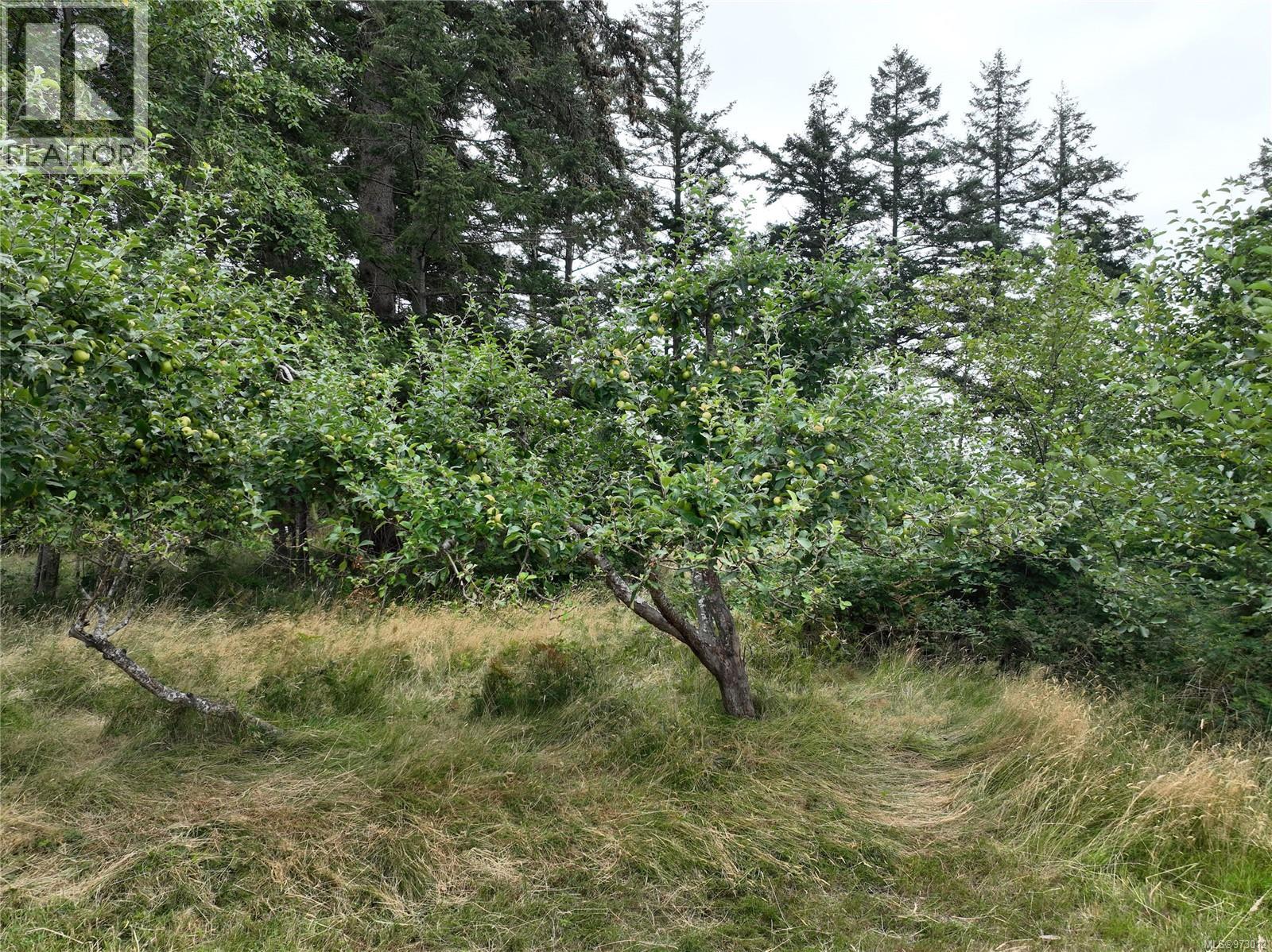 Sl4 129 Joyce Rd, Quadra Island, British Columbia  V0P 1N0 - Photo 20 - 973012