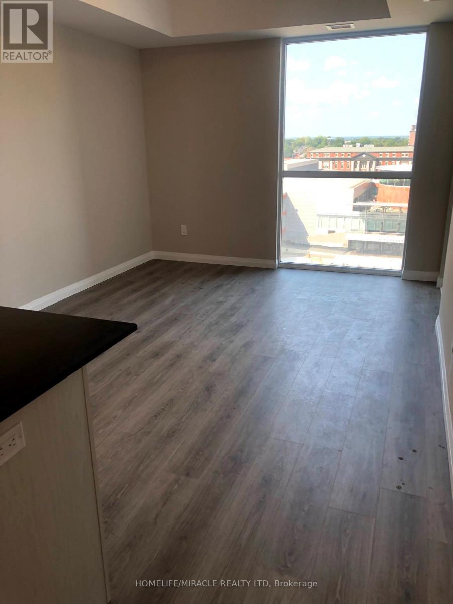 1001 - 60 Charles Street, Kitchener, Ontario  N2G 0C9 - Photo 31 - X12643192