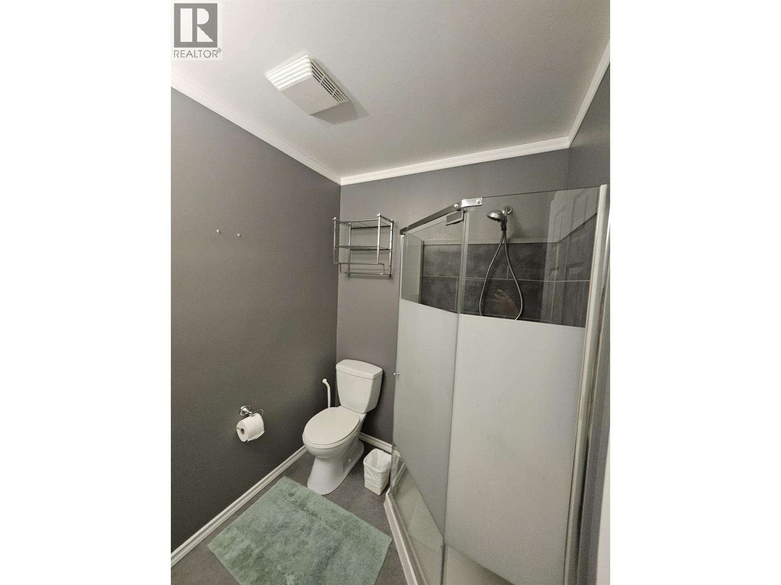 679 Jones Street, Quesnel, British Columbia  V2J 2X3 - Photo 20 - R3074516