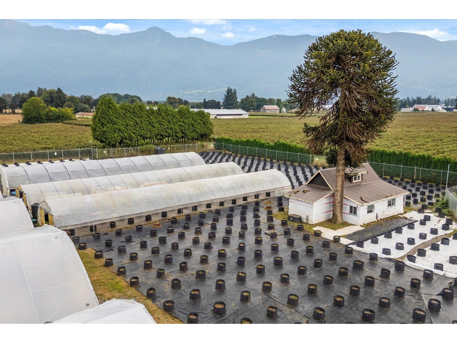 50318 Camp River Road, Rosedale, Rosedale, British Columbia  V2P 6H4 - Photo 10 - C8074330