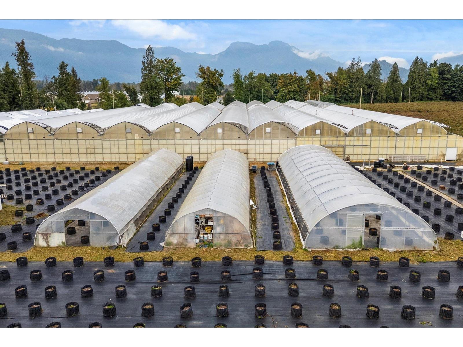 50318 Camp River Road, Rosedale, Rosedale, British Columbia  V2P 6H4 - Photo 9 - C8074330