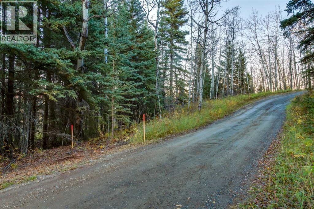 2511687;6;2, Rural Foothills County, Alberta  T1S 2V2 - Photo 17 - A2263187