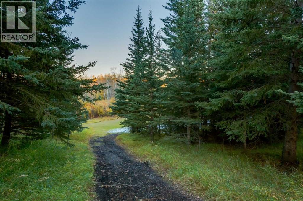 2511687;6;2, Rural Foothills County, Alberta  T1S 2V2 - Photo 3 - A2263187
