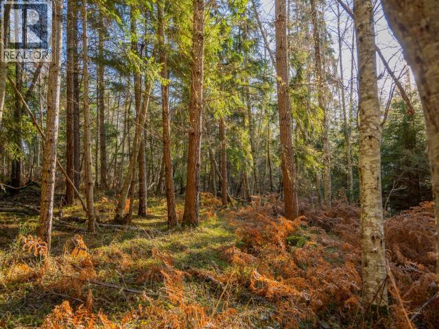6080 Shelter Point Road, Texada Island, British Columbia  V0A 1W0 - Photo 31 - 19547