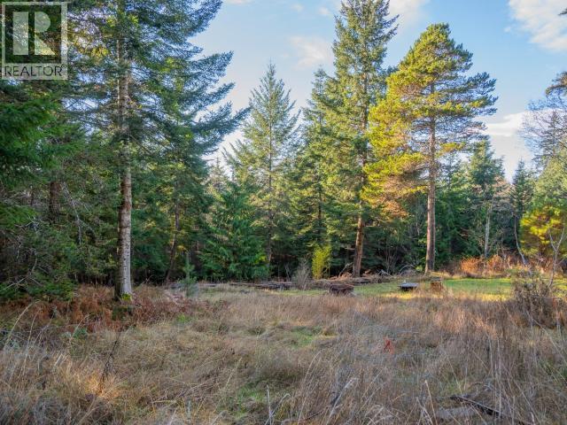 6080 Shelter Point Road, Texada Island, British Columbia  V0A 1W0 - Photo 60 - 19547