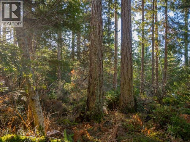 6080 Shelter Point Road, Texada Island, British Columbia  V0A 1W0 - Photo 52 - 19547