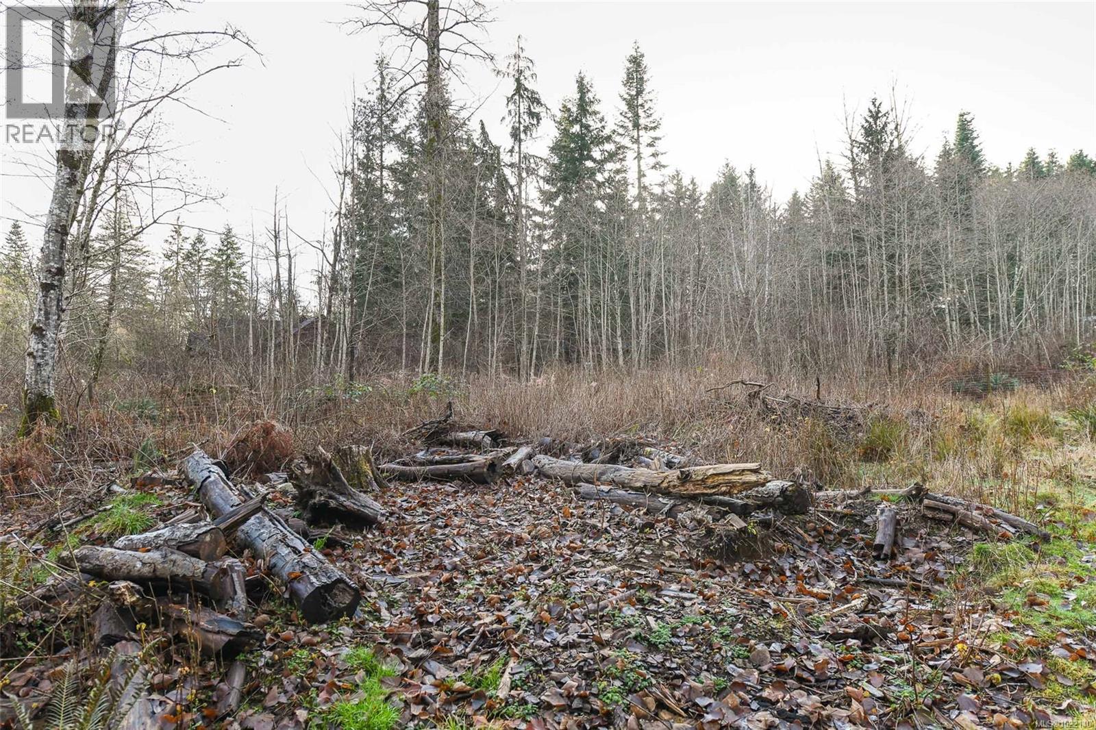 2795 Macaulay Rd, Black Creek, British Columbia  V9J 1B9 - Photo 47 - 1022140