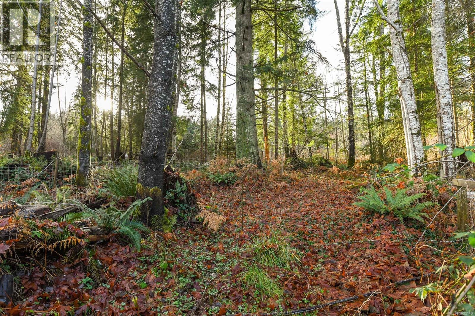 2795 Macaulay Rd, Black Creek, British Columbia  V9J 1B9 - Photo 48 - 1022140