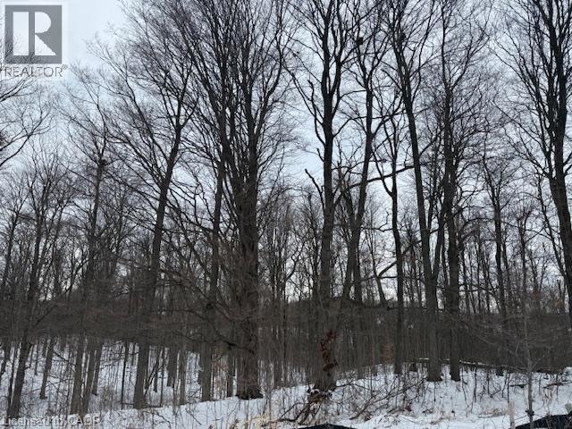 1100 Lackner Boulevard Unit# 309, Kitchener, Ontario  N2A 4G3 - Photo 10 - 40794385