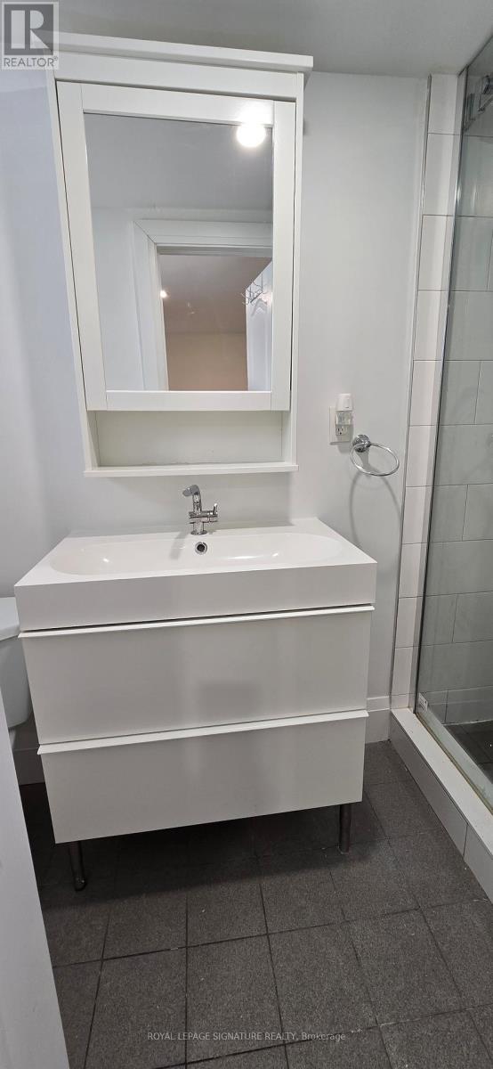 Bsmt - 383 Fernleigh Circle N, Richmond Hill, Ontario  L4C 1E4 - Photo 11 - N12643800