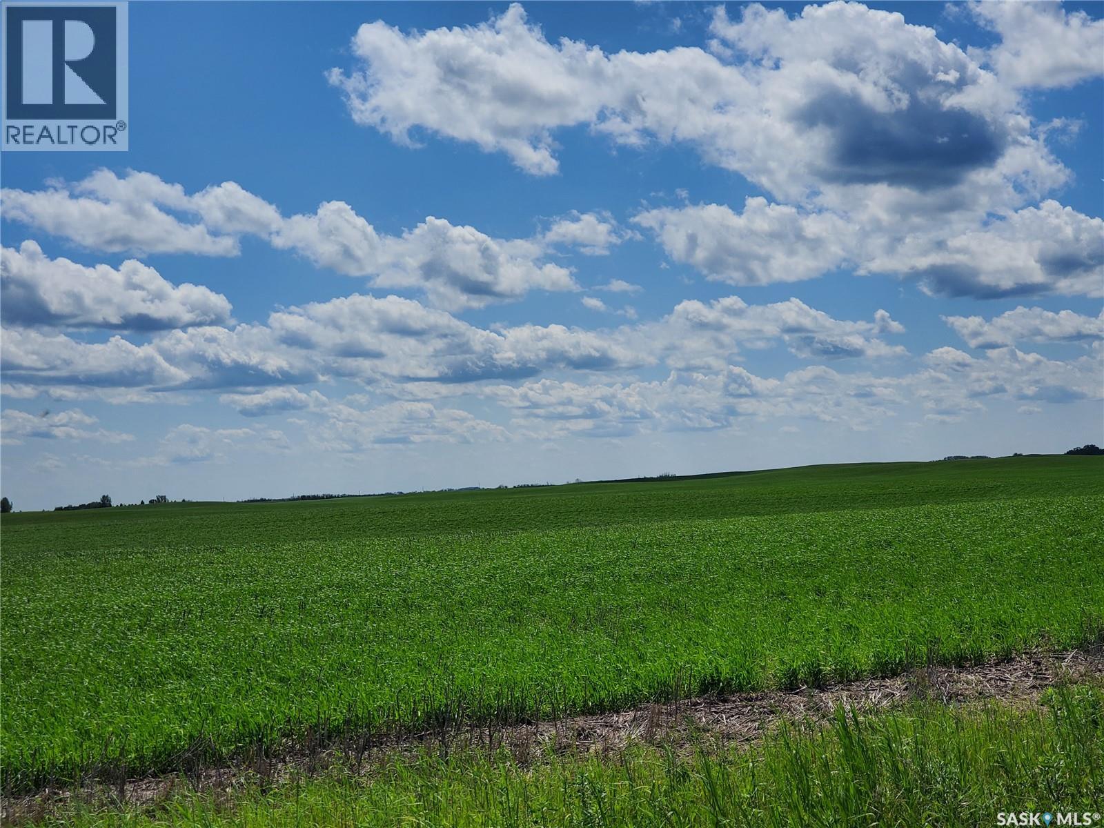 Grayson 9 Quarter Farm, Grayson Rm No. 184, Saskatchewan  S0A 1E0 - Photo 25 - SK000275