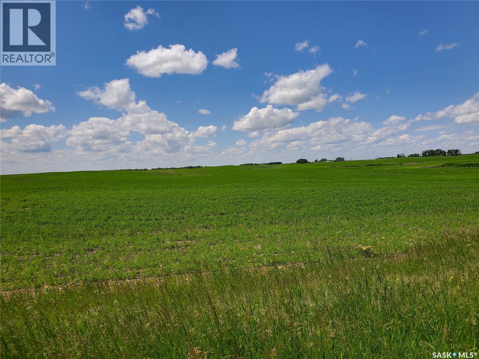 Grayson 9 Quarter Farm, Grayson Rm No. 184, Saskatchewan  S0A 1E0 - Photo 26 - SK000275