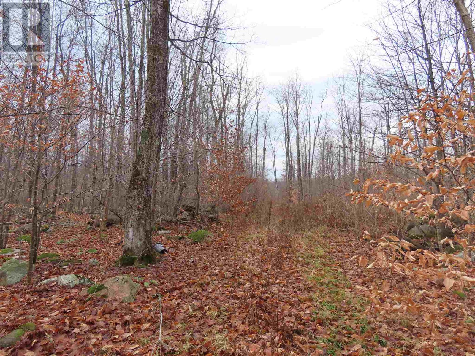 Lot 16 Concession R, Hilton Township, Ontario P0R 1G0 - Photo 10 - SM253472