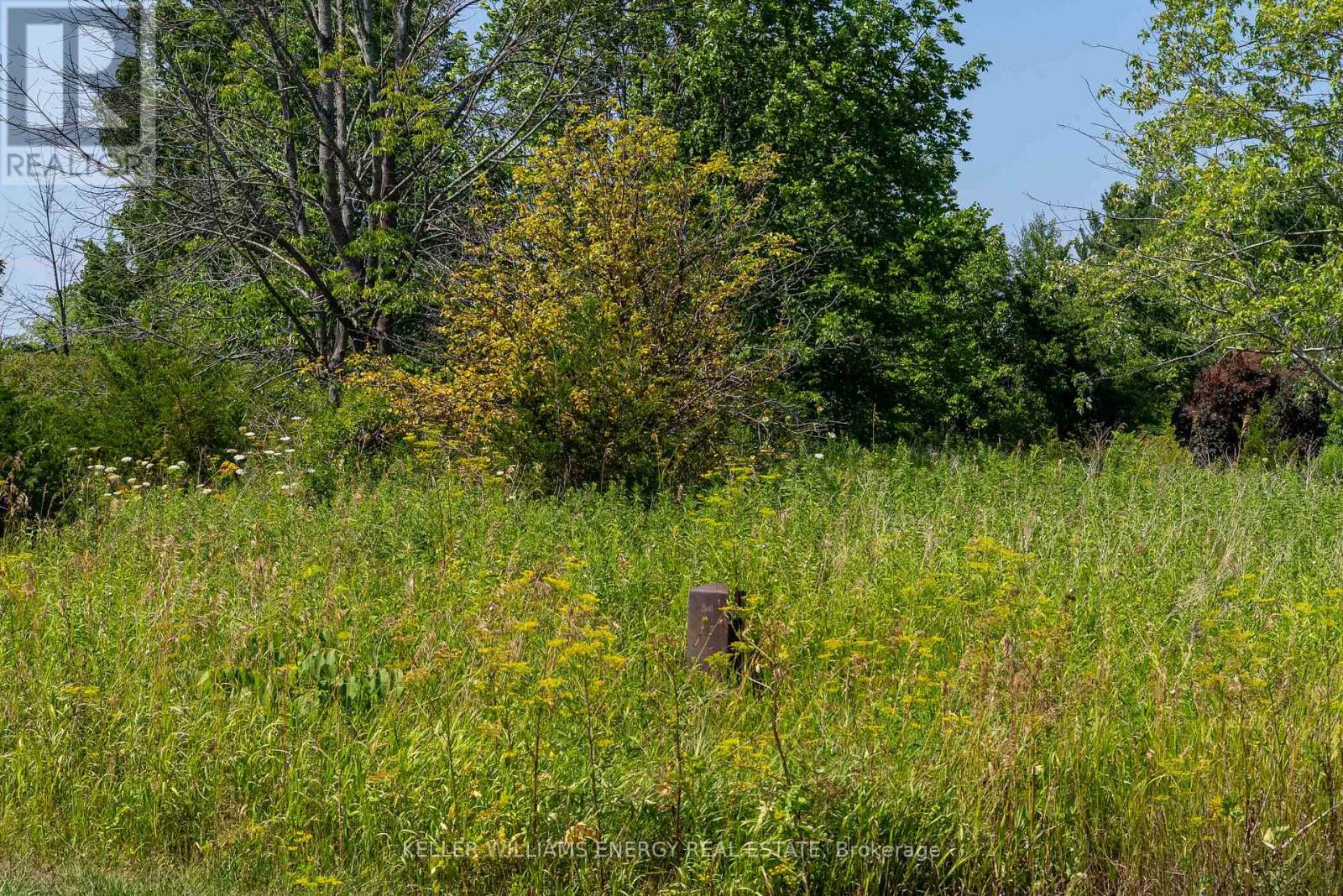 0 North Marysburgh Court, Prince Edward County (North Marysburg Ward), Ontario  K0K 2T0 - Photo 22 - X12644596