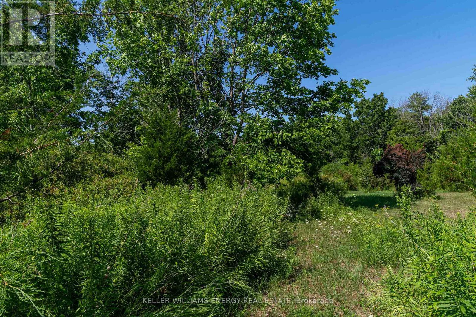 0 North Marysburgh Court, Prince Edward County (North Marysburg Ward), Ontario  K0K 2T0 - Photo 25 - X12644596