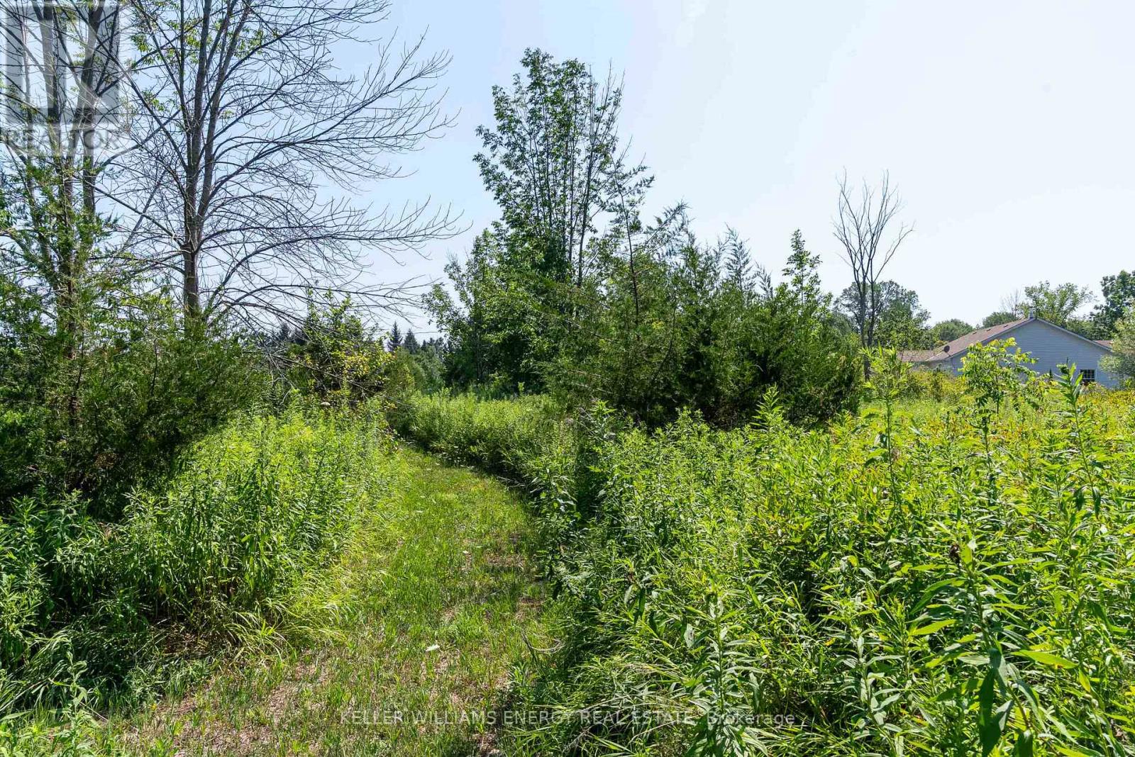 0 North Marysburgh Court, Prince Edward County (North Marysburg Ward), Ontario  K0K 2T0 - Photo 26 - X12644596