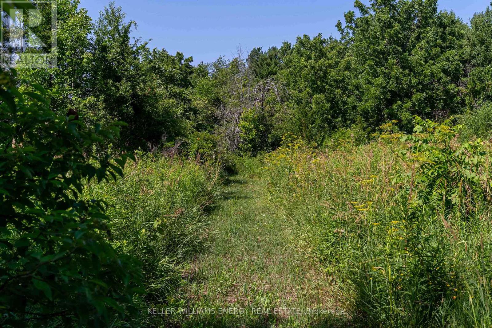 0 North Marysburgh Court, Prince Edward County (North Marysburg Ward), Ontario  K0K 2T0 - Photo 27 - X12644596