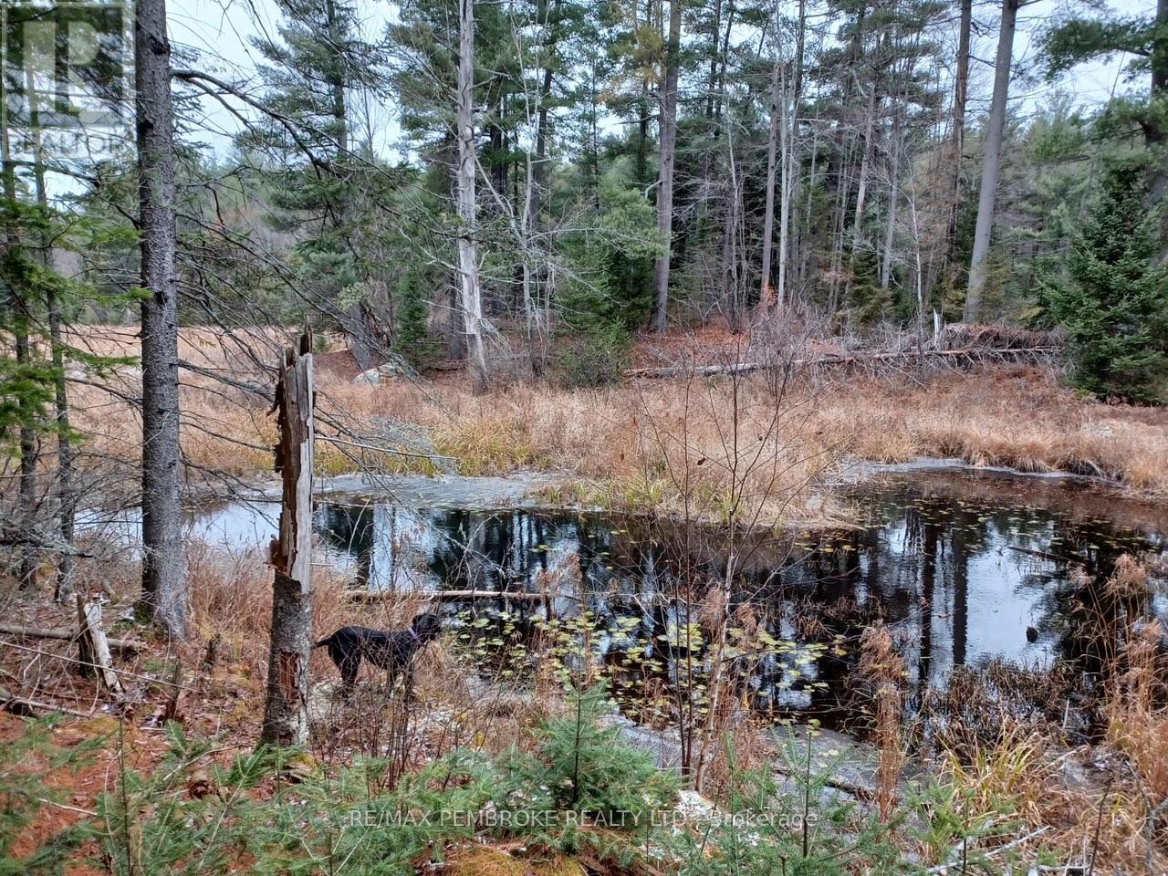 1678 Locksley Road, Laurentian Valley, Ontario  K8A 6W5 - Photo 5 - X12644600