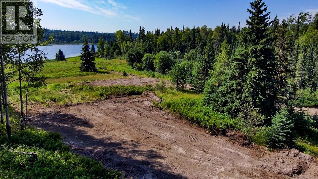 Dl 2685 Upper Fraser Road, Prince George, British Columbia  V0J 2Z0 - Photo 15 - R3074589