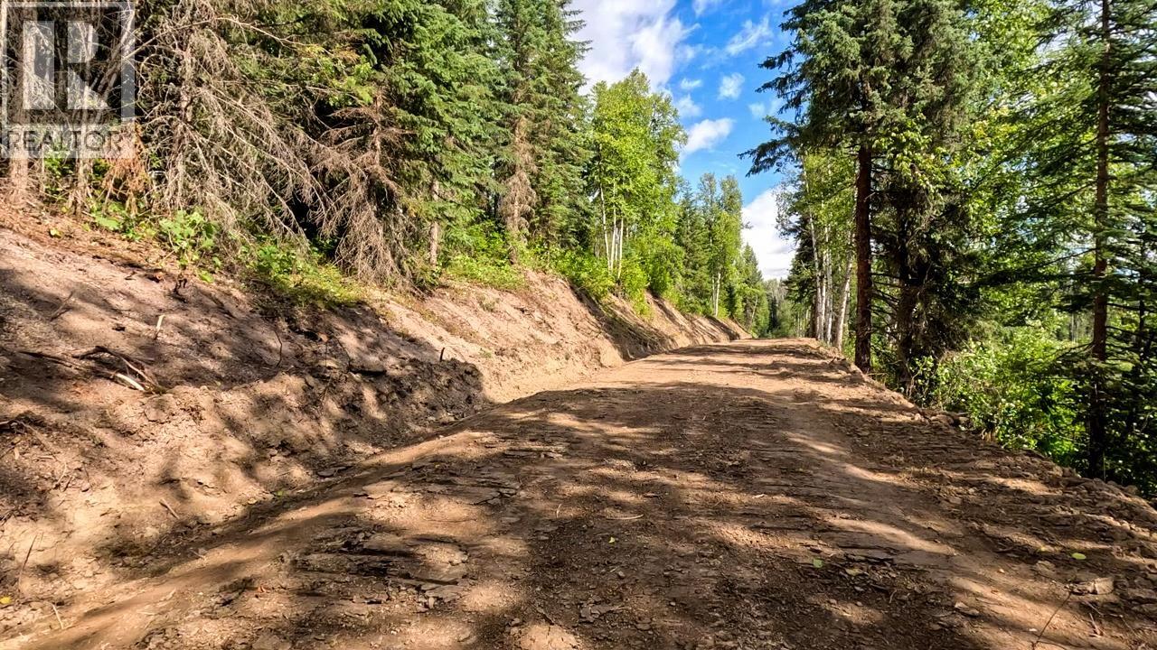 Dl 2685 Upper Fraser Road, Prince George, British Columbia  V0J 2Z0 - Photo 13 - R3074589