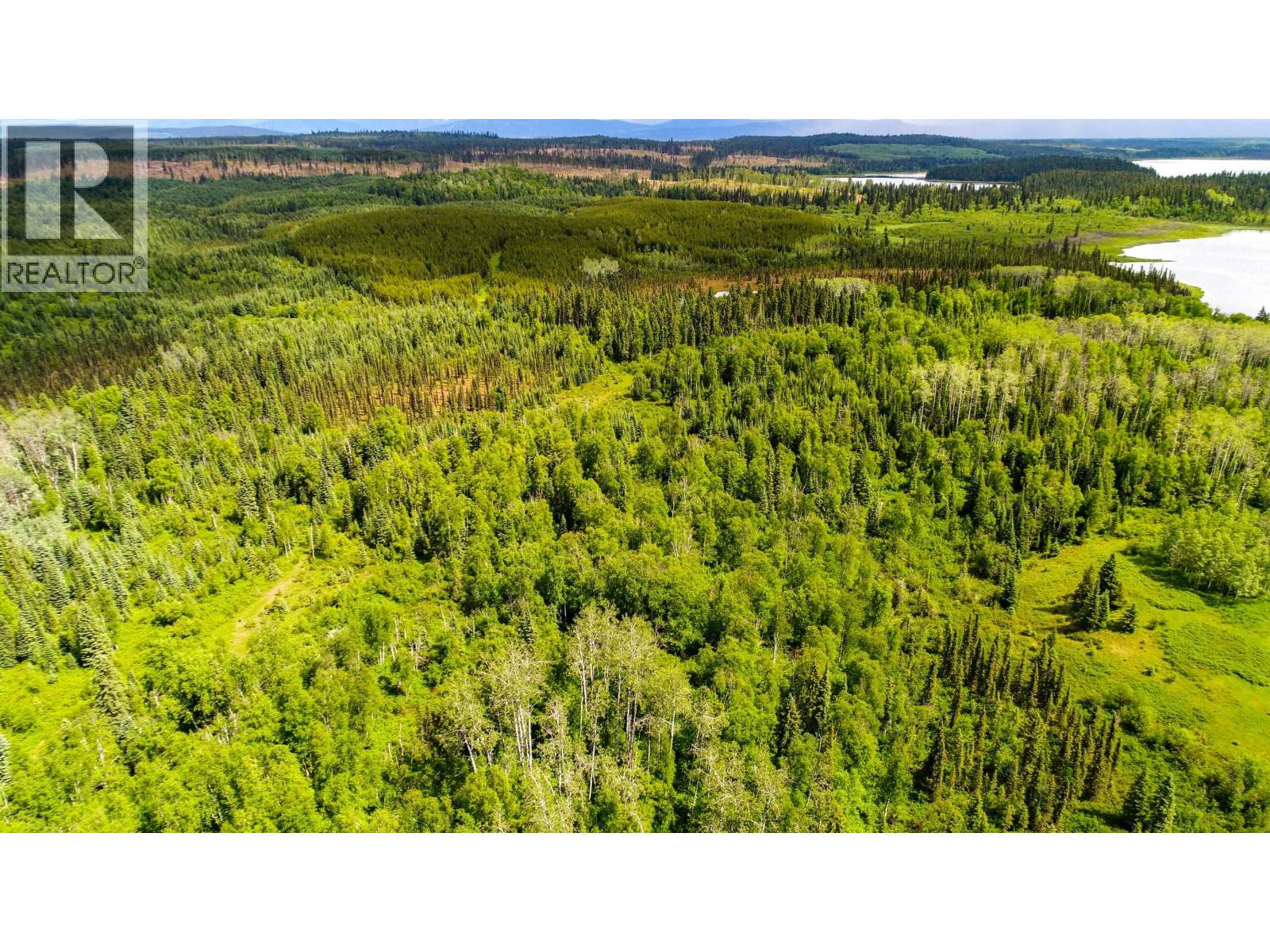 Dl 2685 Upper Fraser Road, Prince George, British Columbia  V0J 2Z0 - Photo 6 - R3074589