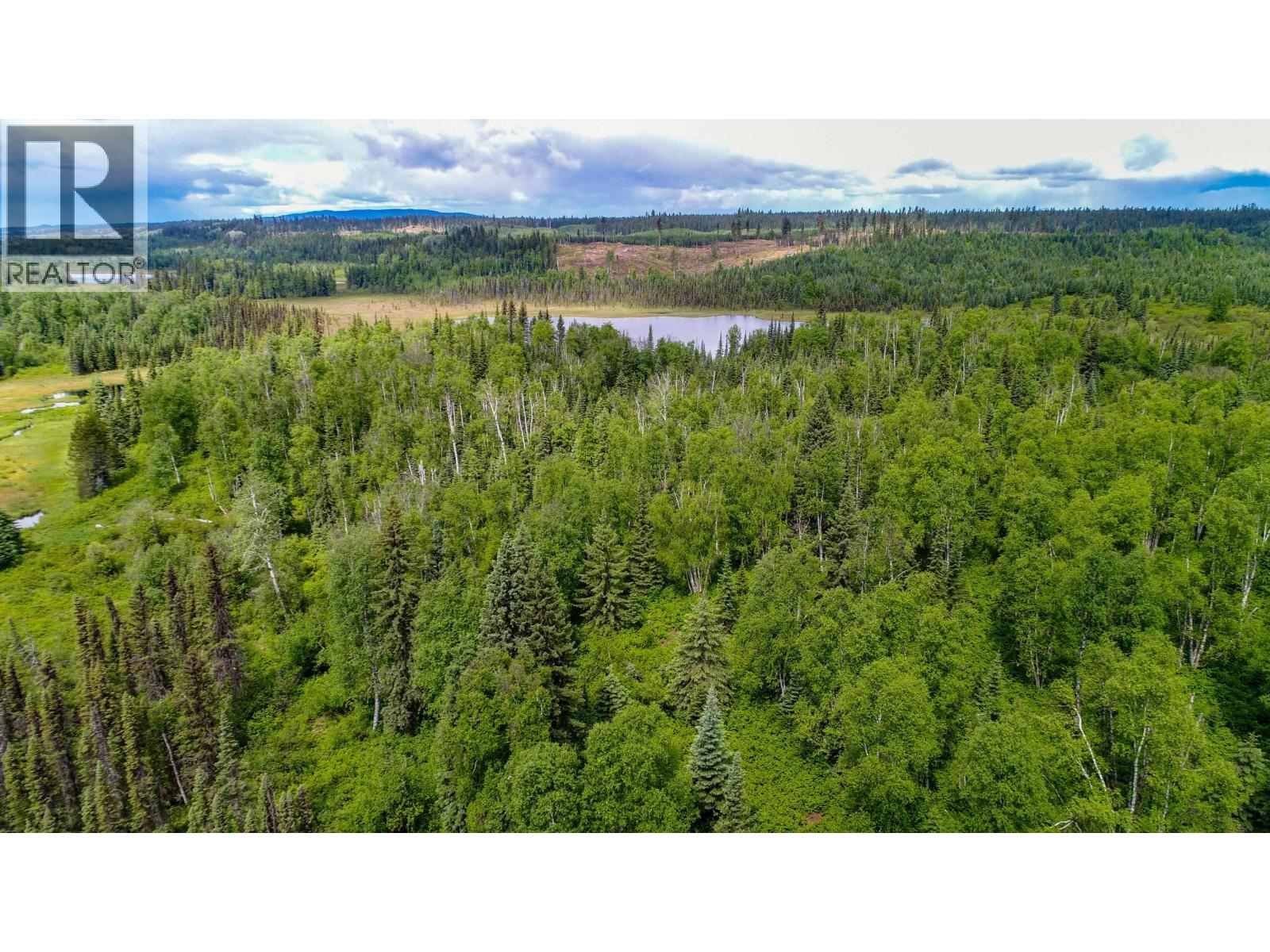 Dl 2685 Upper Fraser Road, Prince George, British Columbia  V0J 2Z0 - Photo 9 - R3074589