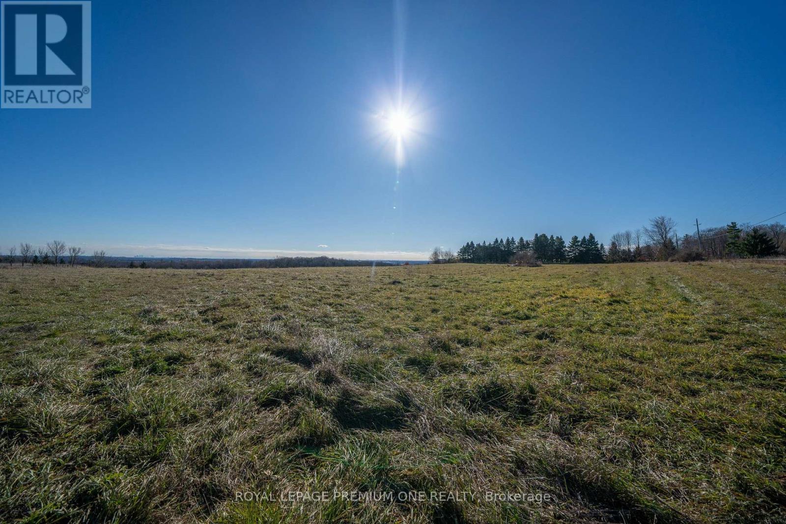 10375 Old Church Road, Caledon, Ontario  L7E 0R2 - Photo 13 - W12644650