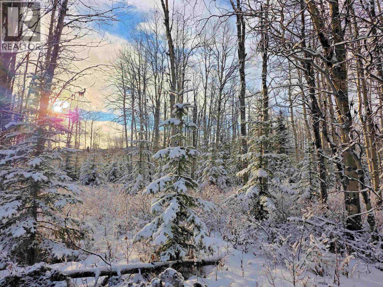 Frac N1/2 Dl 2557 Binta Road, Burns Lake, British Columbia  V0J 1E0 - Photo 21 - R3072657