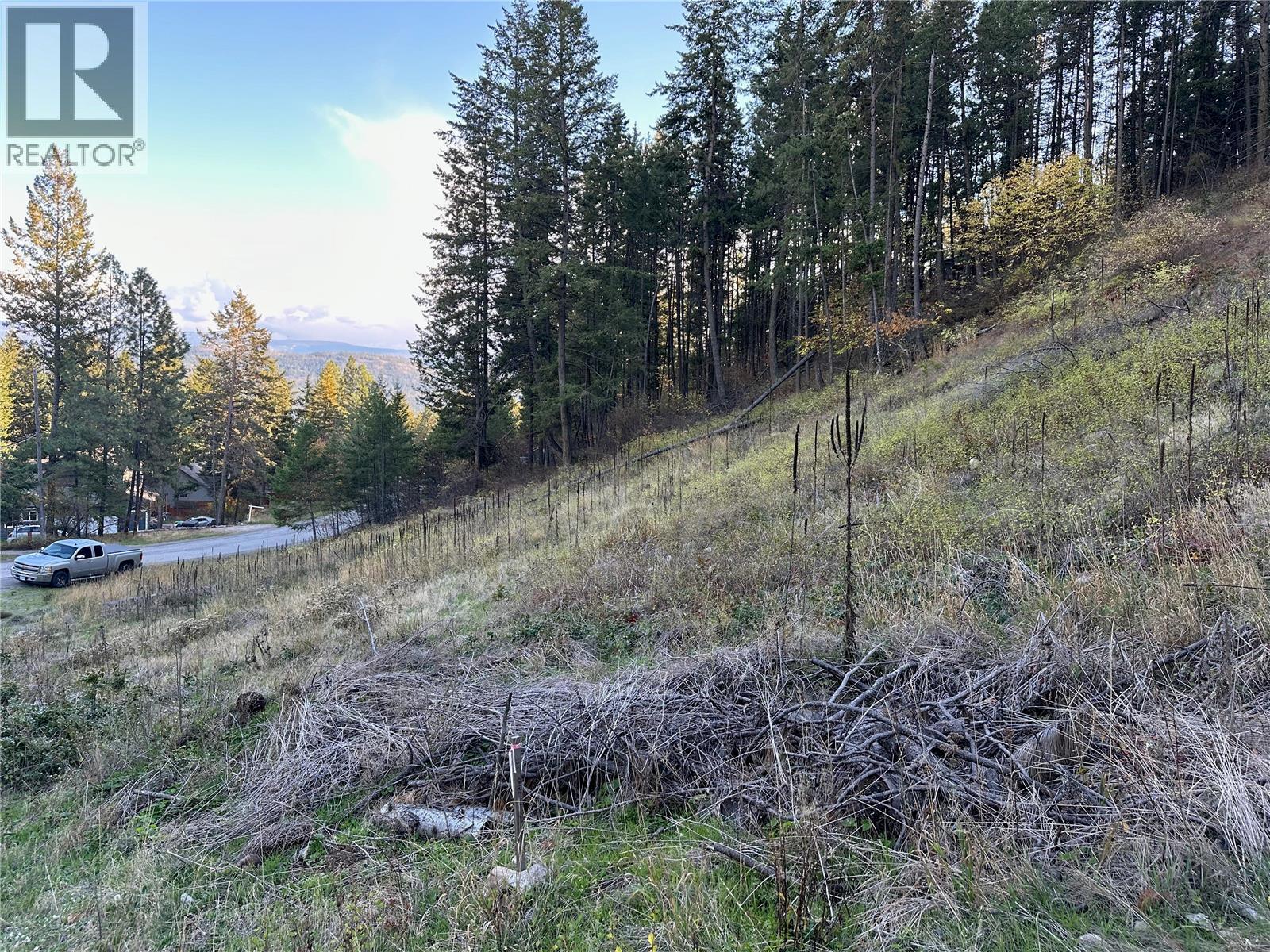 10732 Westshore Road, Vernon, British Columbia  V1H 2C2 - Photo 3 - 10369702