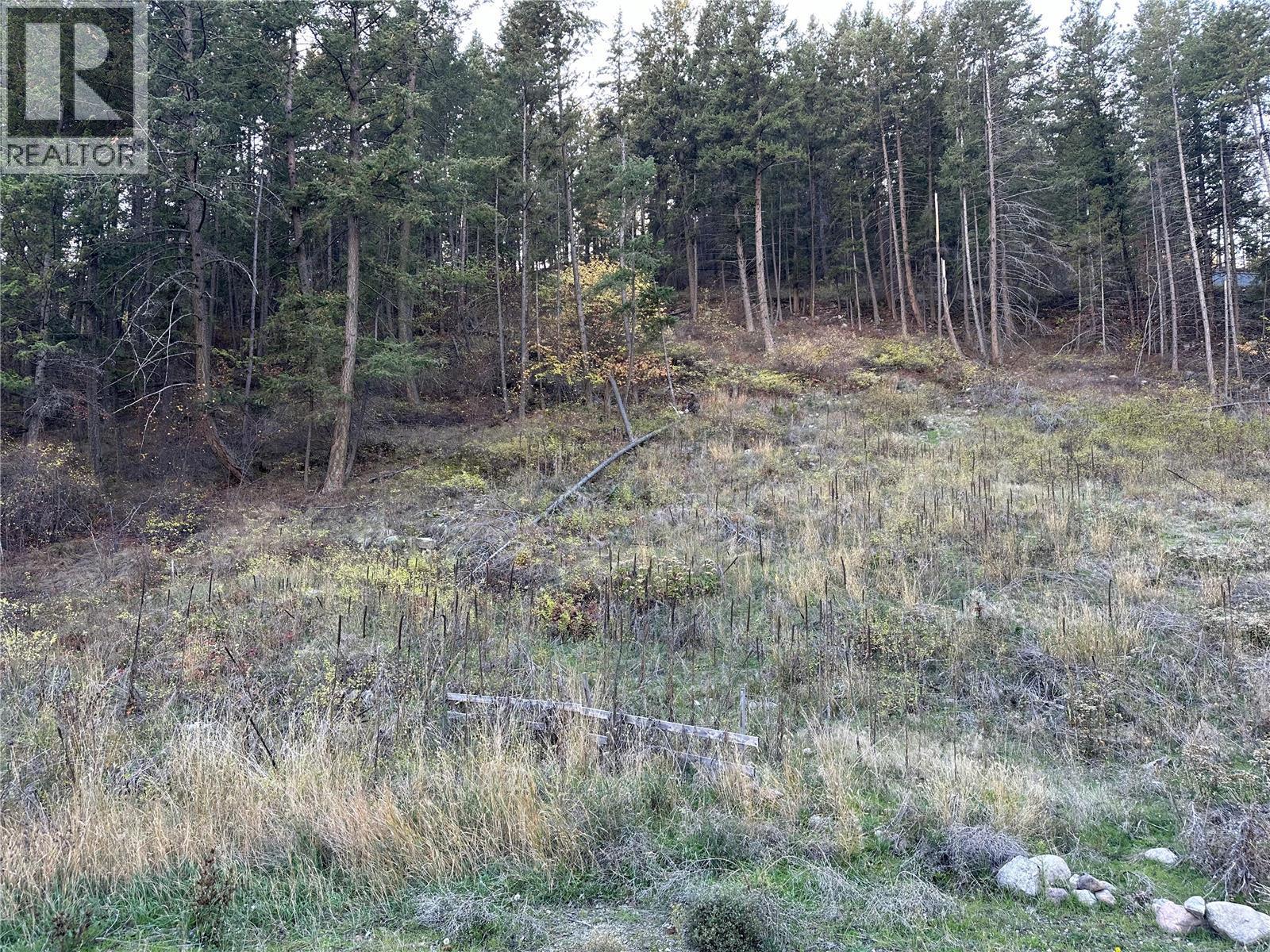 10732 Westshore Road, Vernon, British Columbia  V1H 2C2 - Photo 4 - 10369702