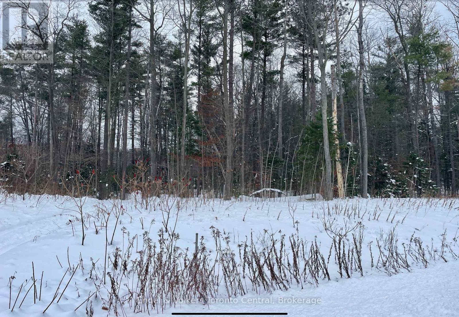 Lot 5 Algonquin Trail, Tiny, Ontario  L0L 2T0 - Photo 1 - S12540358